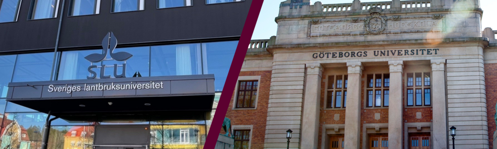 Picture of a building from the Swedish University of Agricultural Sciences next to a picture of a building from the University of Gothenburg