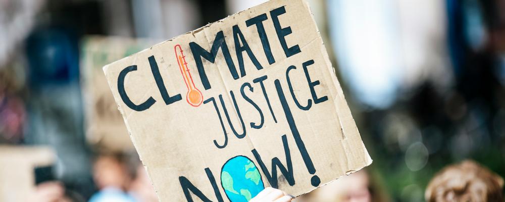 Persons raising a sign with the text democary and human rights